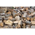 Favágás, bozótírtás