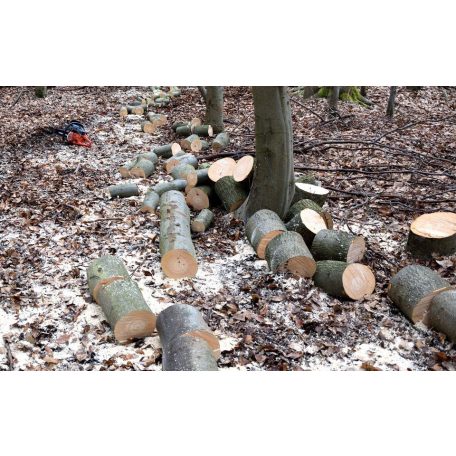 Favágás, bozótírtás